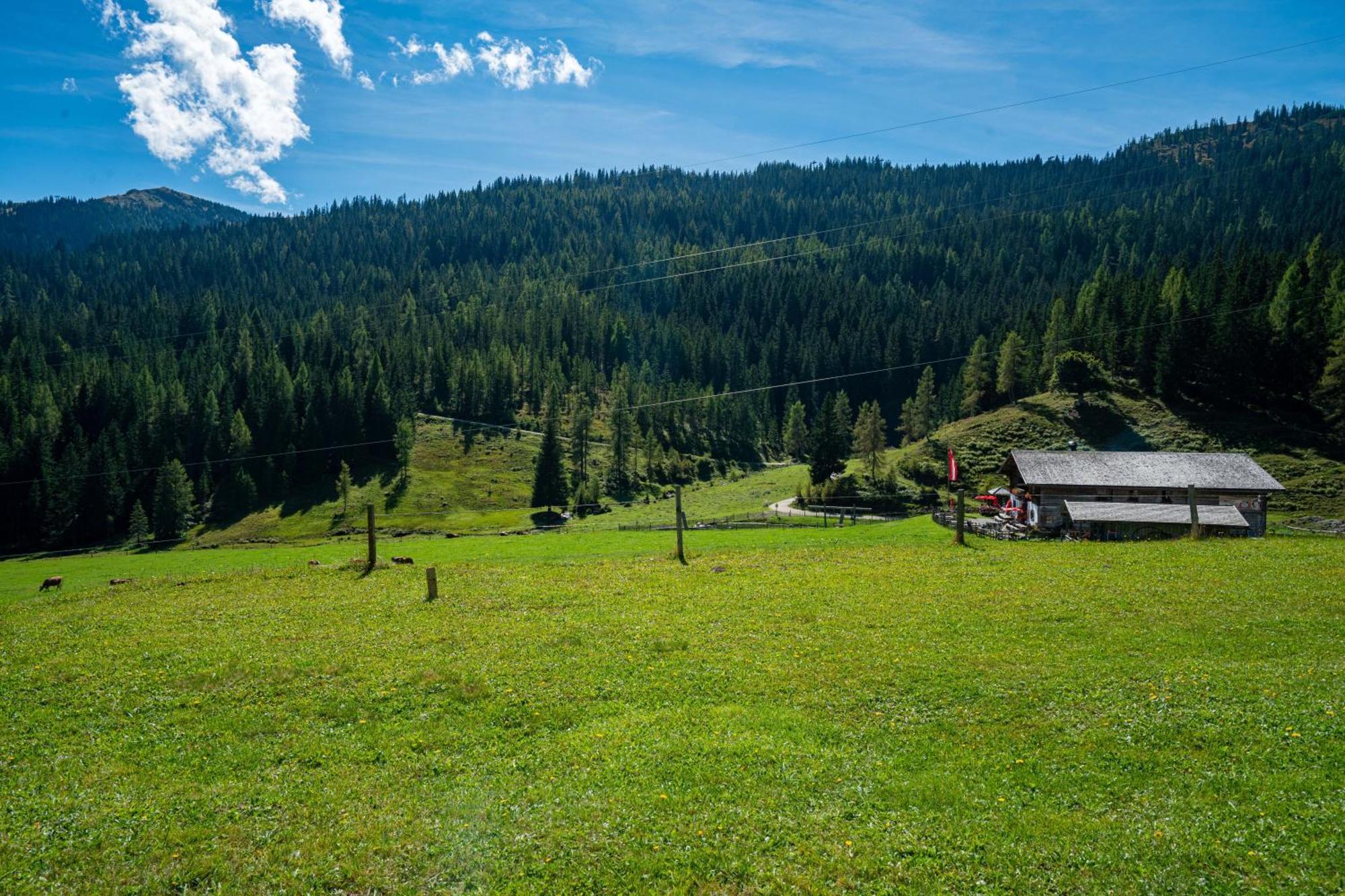 Hotel Mittereggalm Mühlbach am Hochkönig Esterno foto