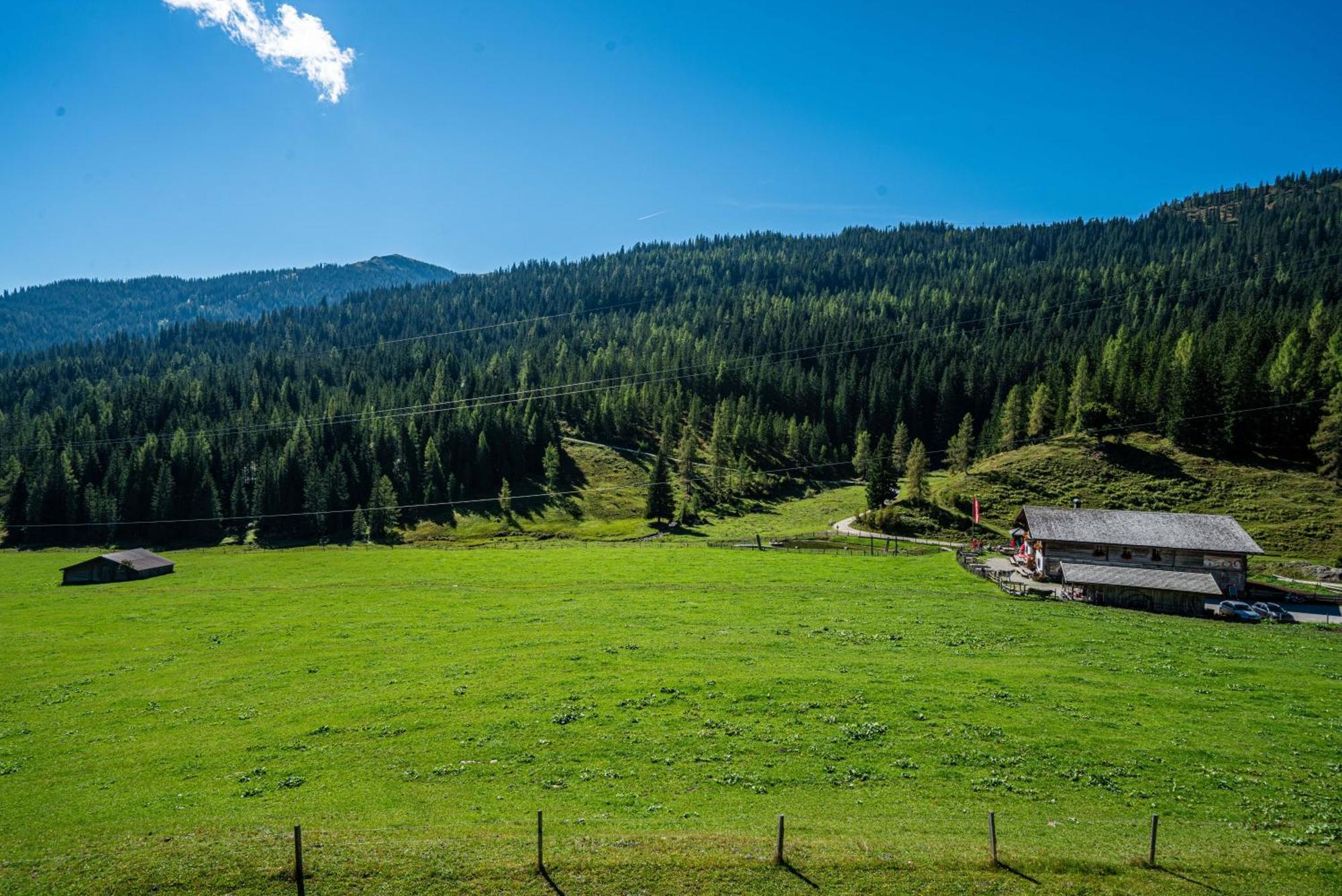 Hotel Mittereggalm Mühlbach am Hochkönig Esterno foto